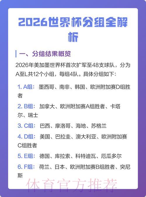 2026世界杯赛事比分官方深度解析