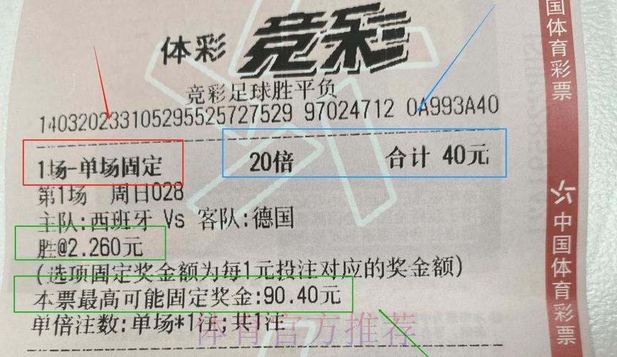 世界杯体育彩票手机投注完全指南