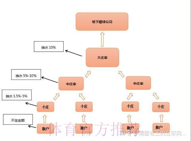 深度解析：安全访问世界杯盘口安卓最新网址的方法与风险防范指南